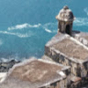 Meet your Posher, Dina